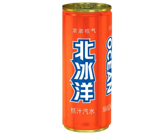 Arctic Ocean Mandarin Soda （北冰洋桔汁汽水）